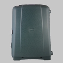Samsonite,  , d18.014.078